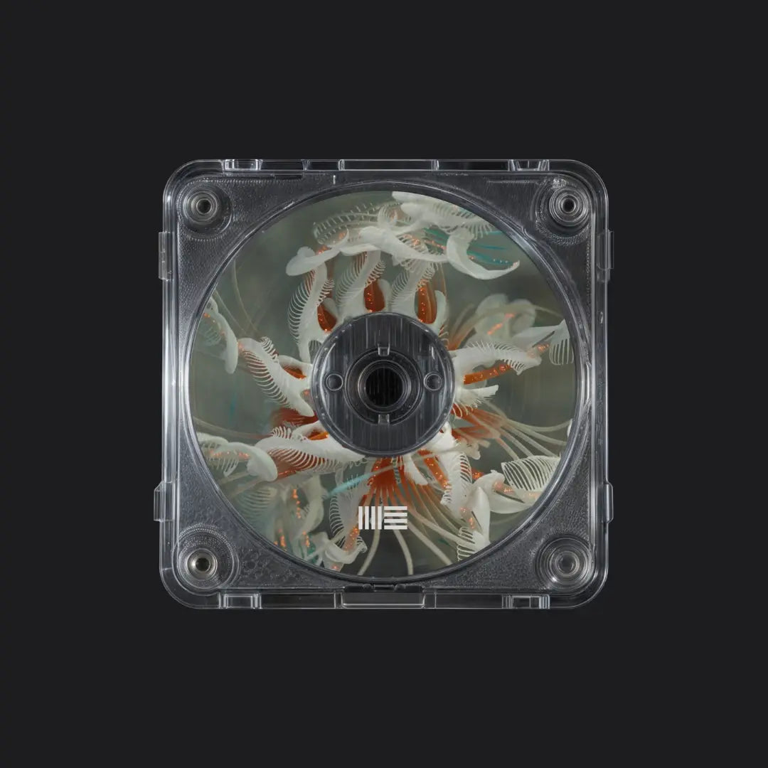 Cassian - Dun Dun - Ableton Remake