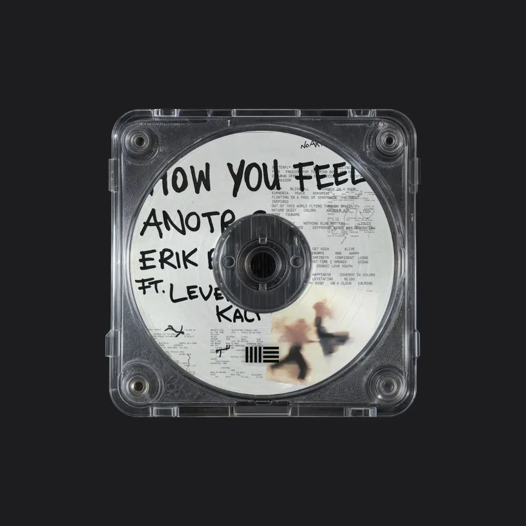 ANOTR, Erik Bandt, Leven Kali - How You Feel [Ableton Remake]