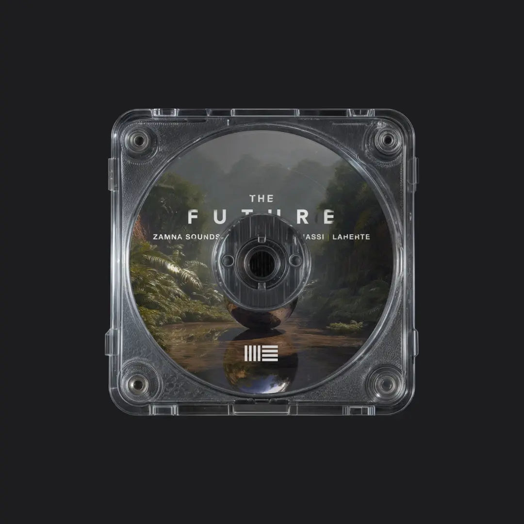 Benny Benassi, Laherte, Zamna Soundsystem - The Future [Ableton Remake]